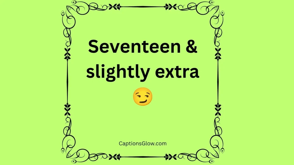 Funny 17th Birthday Captions