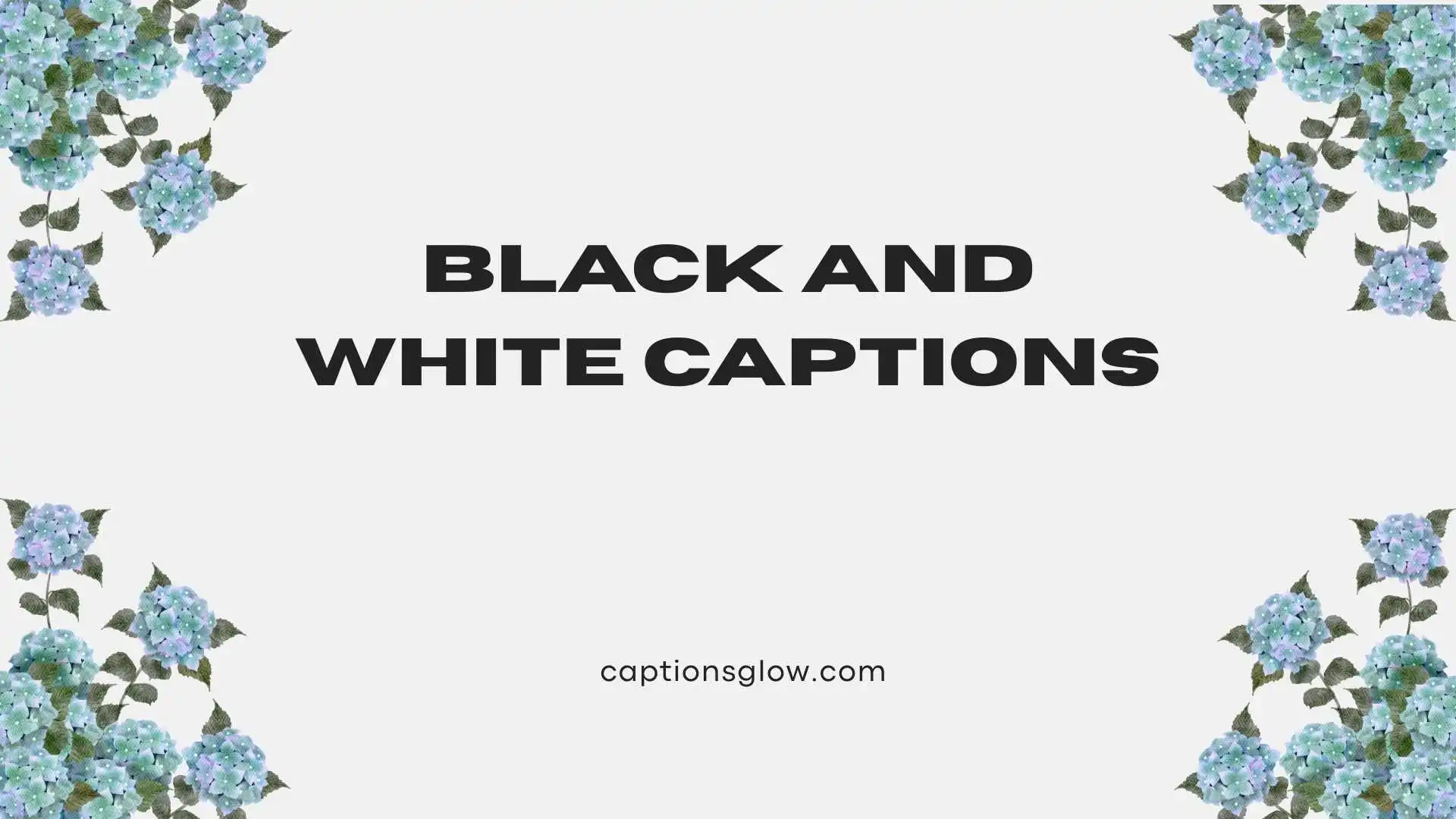 black and white captions