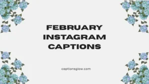 february instagram captions