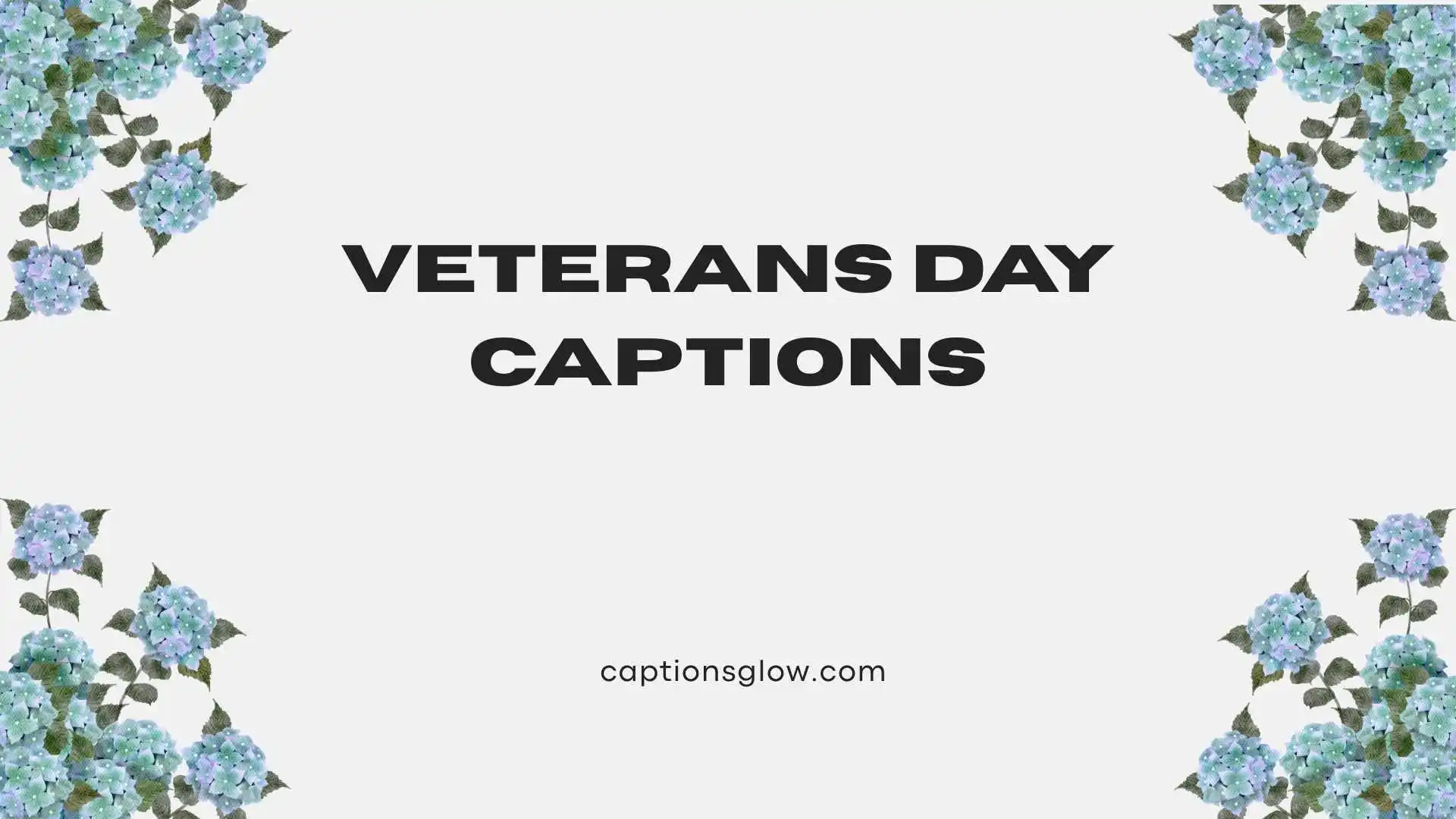 veterans day captions