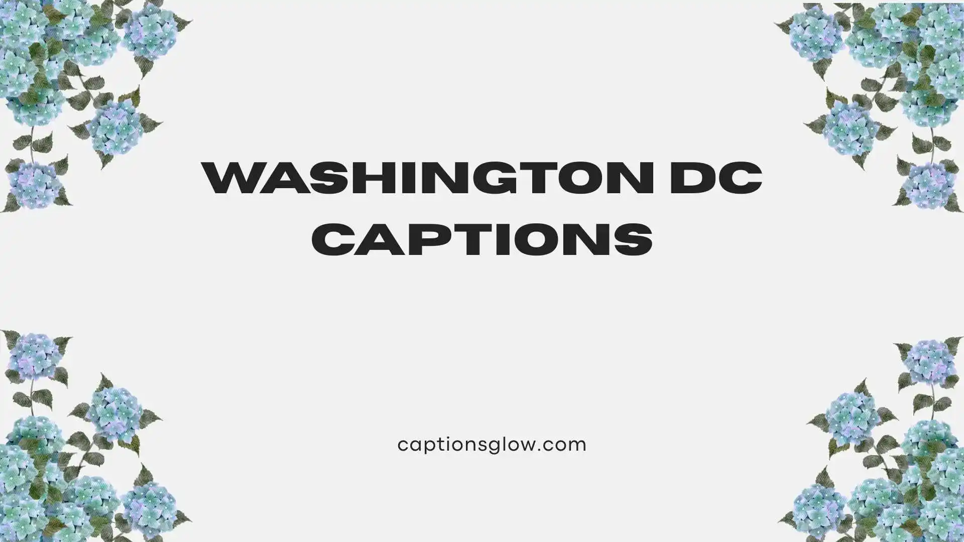 washington dc captions