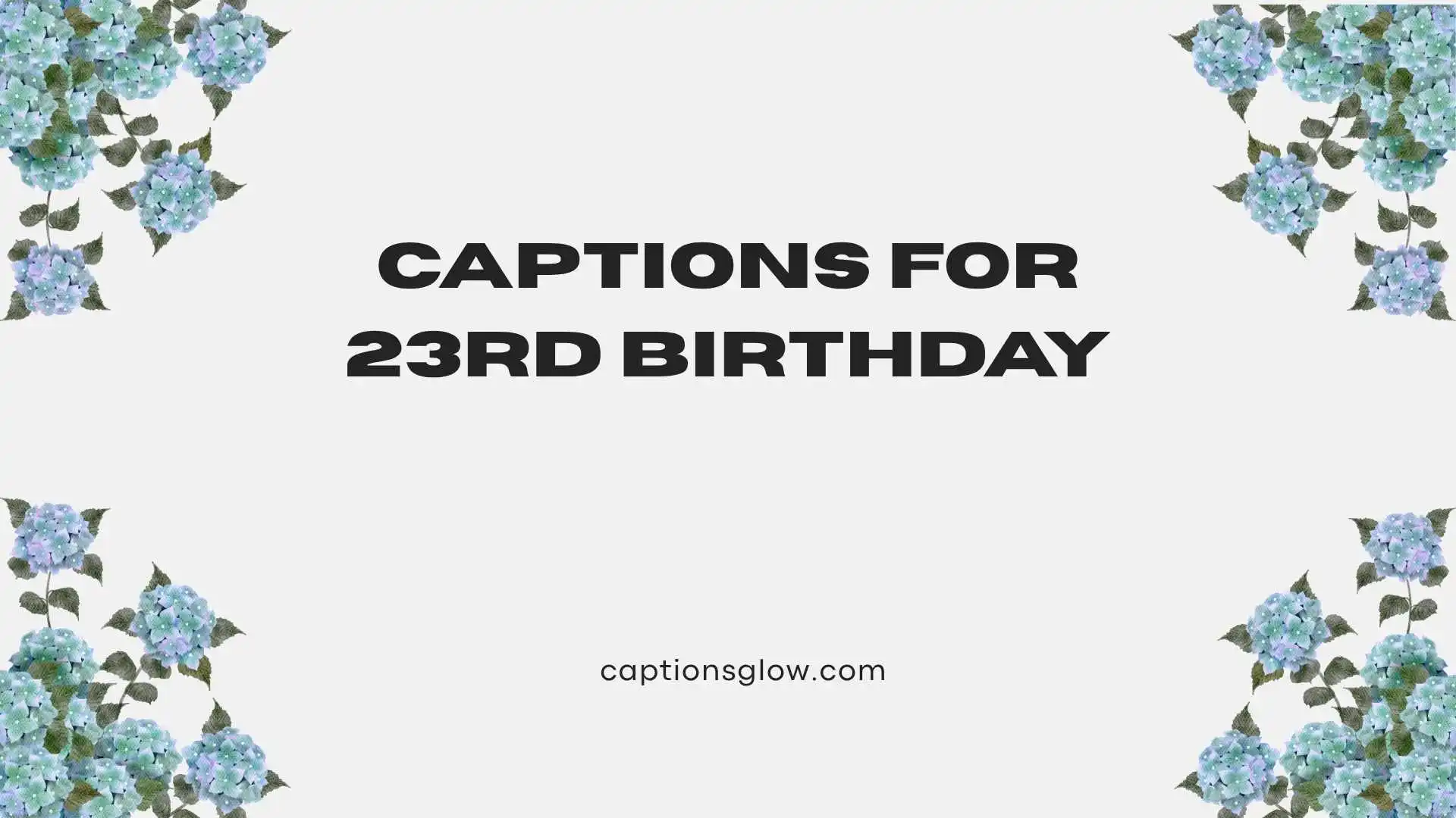 captions for 23rd birthday
