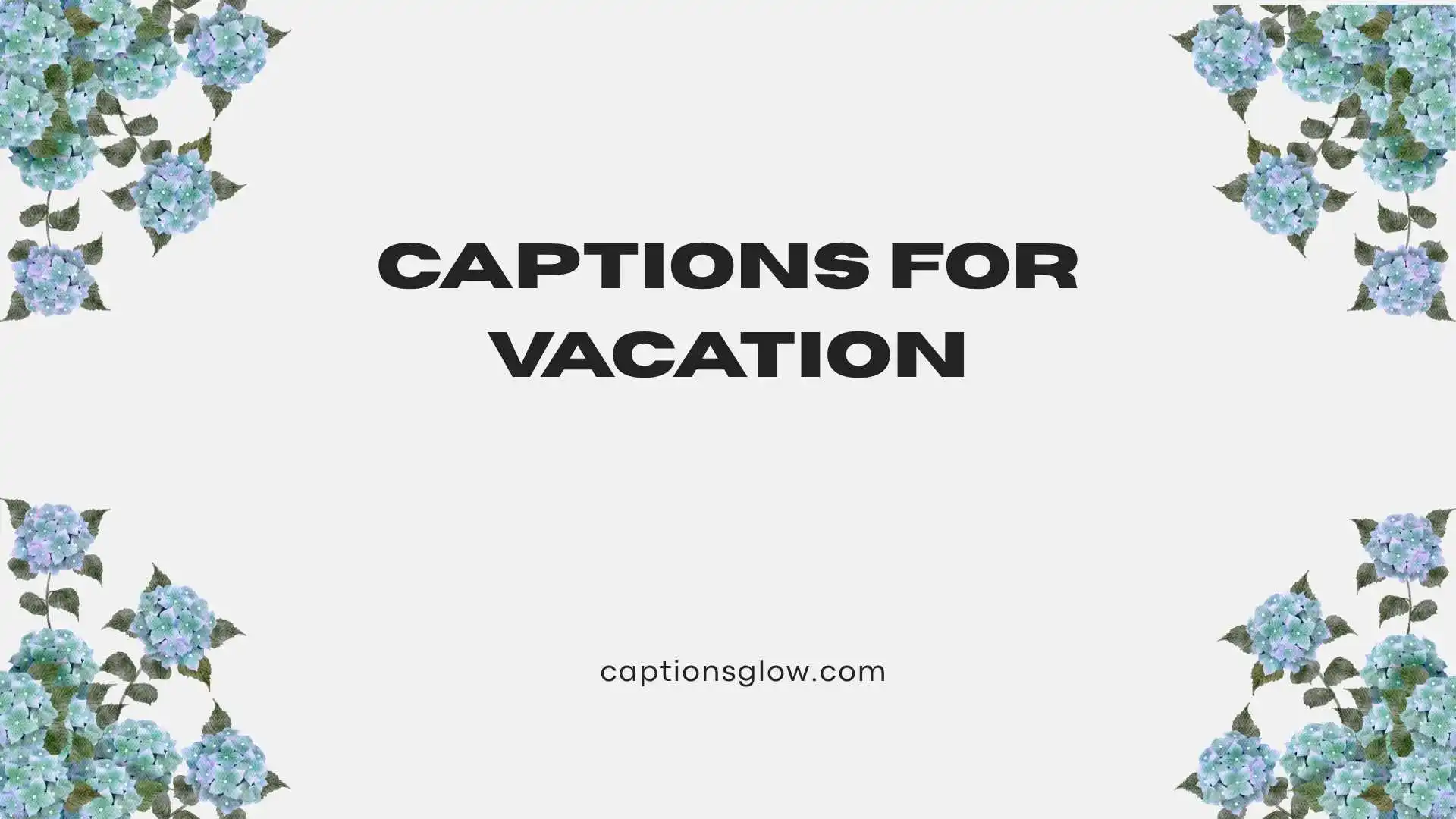 Captions for Vacation