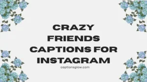 Crazy Friends Captions for Instagram