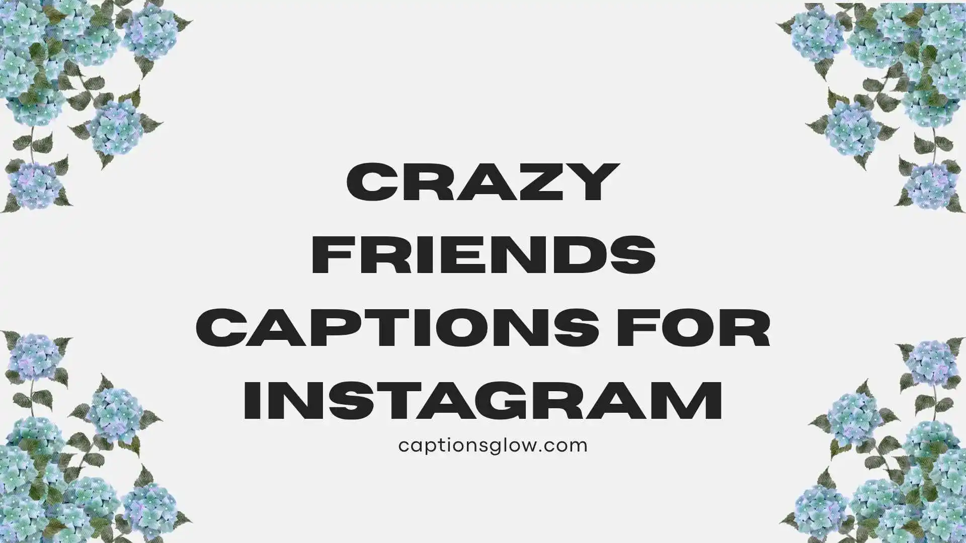 Crazy Friends Captions for Instagram