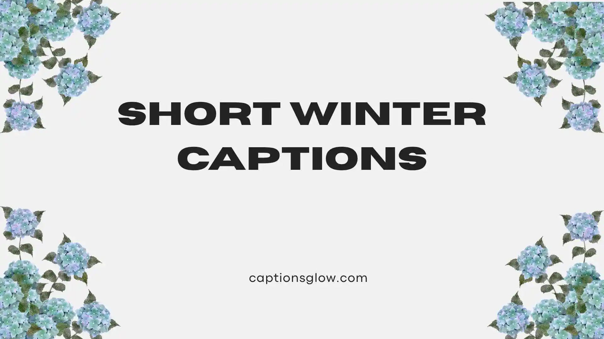 short winter captions