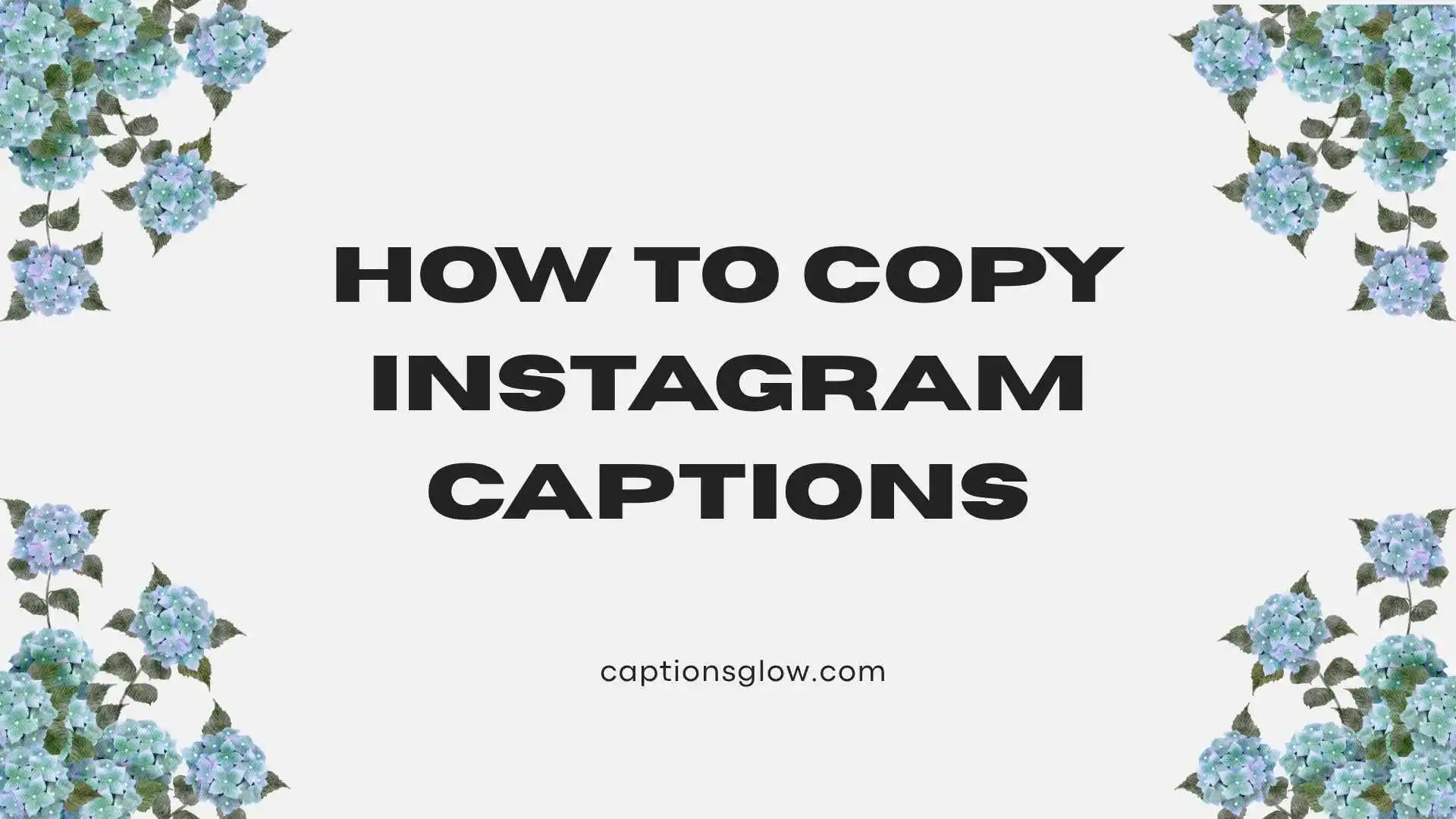 how to copy instagram captions