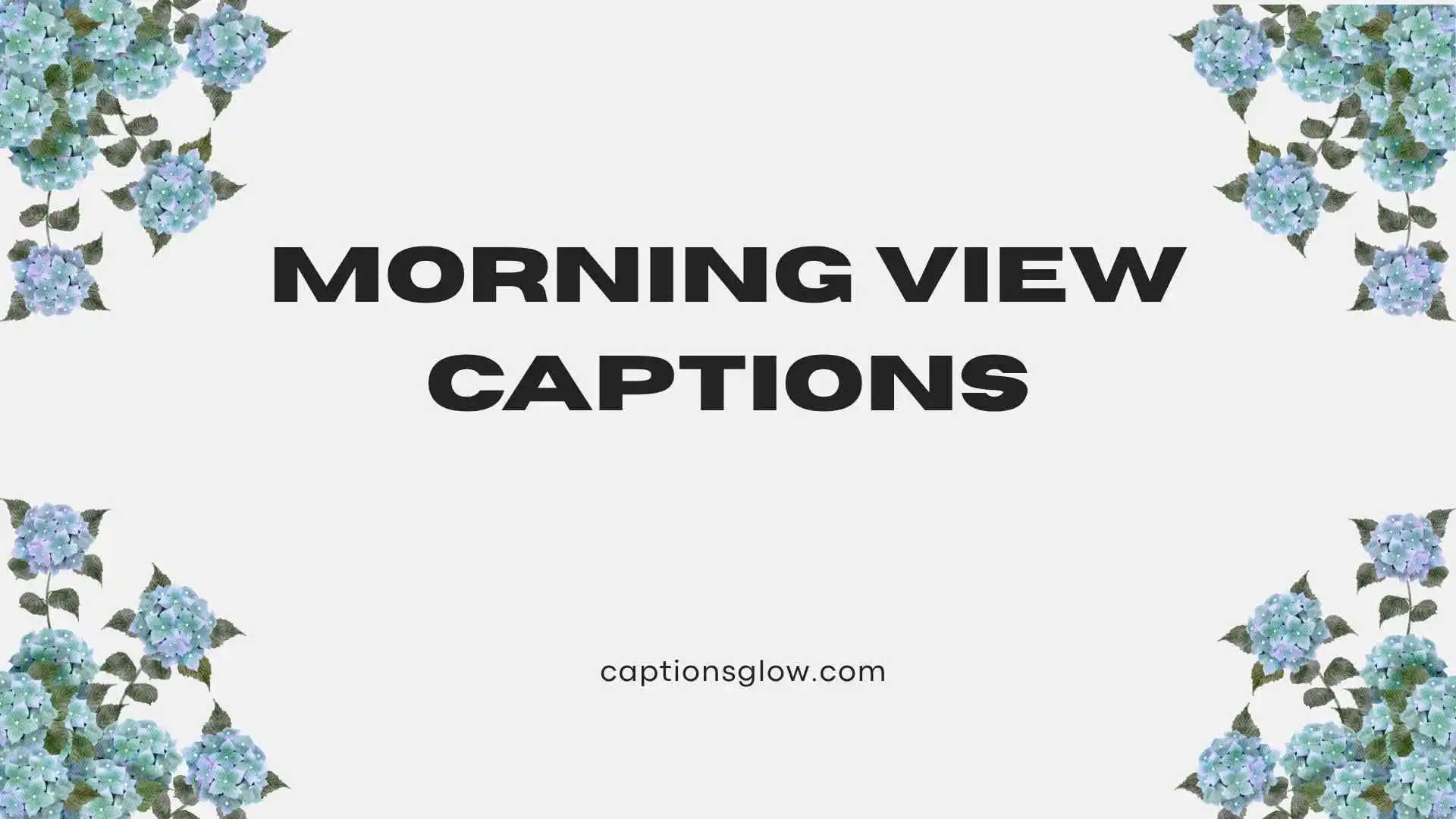 morning view captions